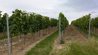 PXL_20240616_180605226.jpg