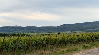 PXL_20240616_180634837.jpg