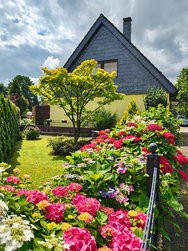 IMG_20240617_143133250_HDR.jpg