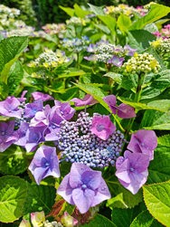 IMG_20240617_143142775.jpg