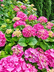 IMG_20240617_143152149.jpg