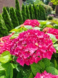 IMG_20240617_143225825.jpg