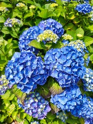IMG_20240617_142625019.jpg