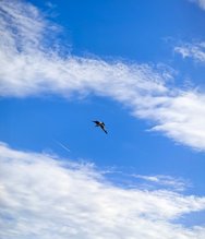 IMG_20240617_191100.jpg