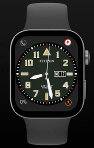 Citizen_animation.gif