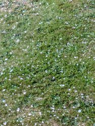 PXL_20240618_191359119~2.jpg