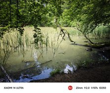 IMG_20240609_114234.jpg