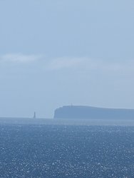 PXL_20240509_105425982.jpg