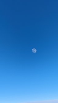 PXL_20240521_175100748.jpg