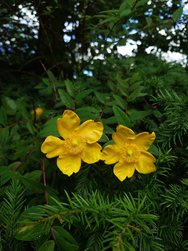 20240619_120450576.JPG