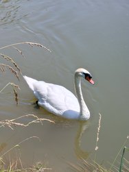 IMG20240619132959.jpg