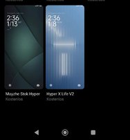 Screenshot_2024-06-19-16-09-44-774_com.android.thememanager-edit.jpg