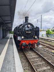 IMG_20240616_104747.jpg