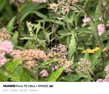 sukashi_20240620_134658.jpg