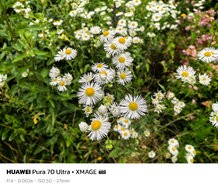 sukashi_20240620_134717.jpg
