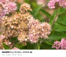 sukashi_20240620_134757.jpg