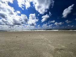 IMG_20240606_154117.jpg