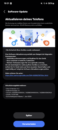 Screenshot_20240620_193154_Software update.png