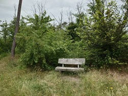 20240620_151958265.jpeg