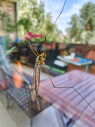 IMG_20240620_120153353_HDR.jpg