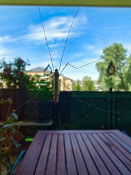 IMG_20240620_115825125_HDR.jpg