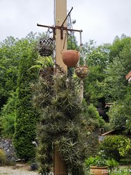 IMG_20240621_185326.jpg