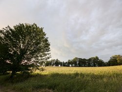 PXL_20240621_183607695.jpg