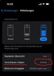 IMG_2957.jpeg