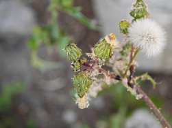 IMG_20240619_165516.jpg