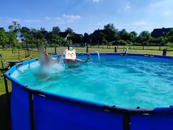 IMG_20240622_175351.jpg