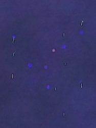 112024.JPG