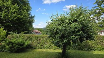 20240612_170959.jpg