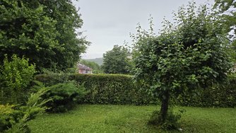 20240621_201224.jpg