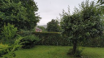 IMG_20240621_201306673.jpg