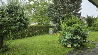 20240621_201231.jpg