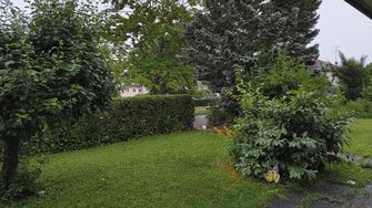 IMG_20240621_201320169.jpg