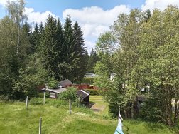IMG_20240623_151038_641.jpg