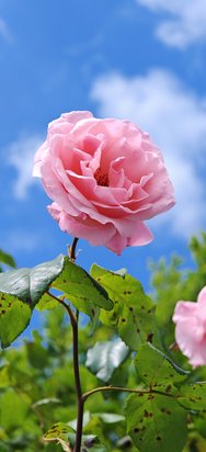 IMG_20240623_143448.jpg