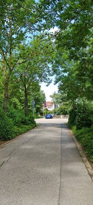 IMG_20240623_142917.jpg