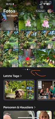 IMG_6183.jpeg