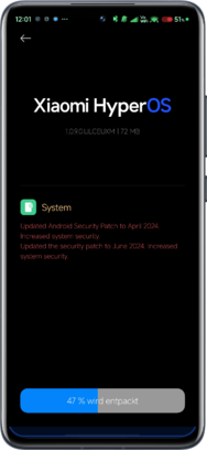 Screenshot_2024-06-24-12-01-52-828_com.android.updater-edit.png