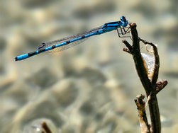 IMG_20240624_170838.jpg