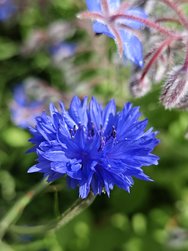 IMG_20240619_134408.jpg