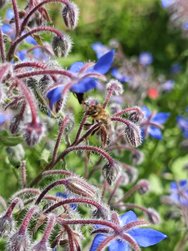 IMG_20240619_134440.jpg