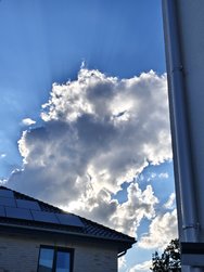 IMG_20240619_192644.jpg