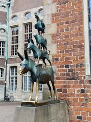 IMG_20240622_120438.jpg