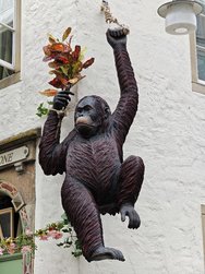 IMG_20240622_132807.jpg