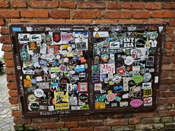 IMG_20240622_133259.jpg