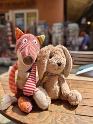 IMG_20240622_134234.jpg