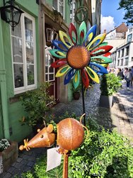 IMG_20240622_171742.jpg